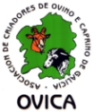 logo-Ovica