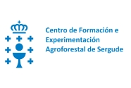 logo-CEA